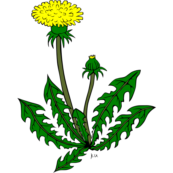 Foraging Icon